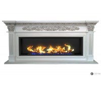 Биокамин в линейном портале Даррен (ZeFire)